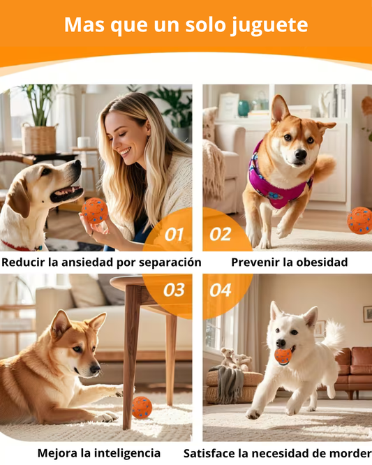 Pelota Inteligente para Mascotas – Interactive Ball™