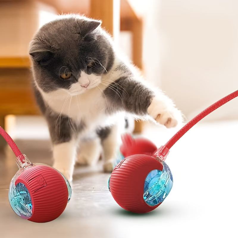 Pelota inteligente para mascotas