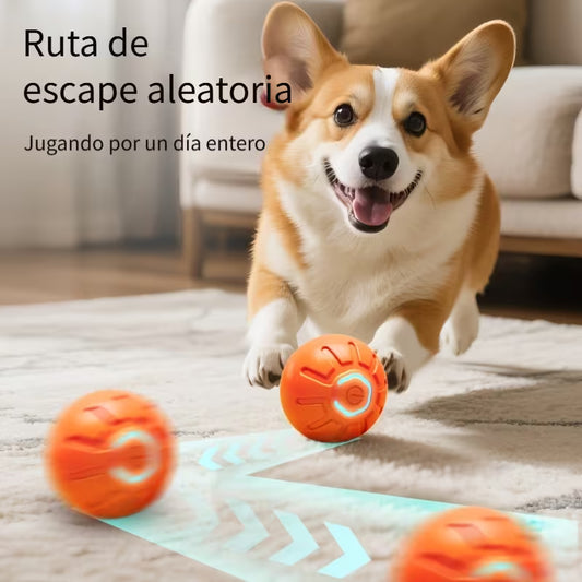 Pelota Inteligente para Mascotas – Interactive Ball™
