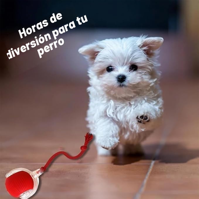 Pelota inteligente para mascotas