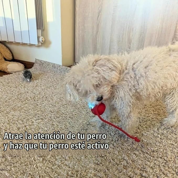 Pelota inteligente para mascotas